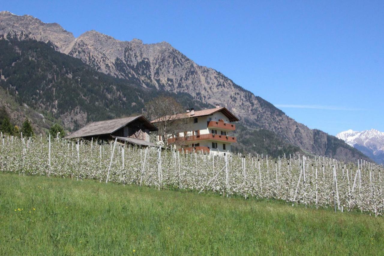 Mareinhof - Urlaub Auf Dem Apfelbauernhof Apartment ปาร์ชีเนส ภายนอก รูปภาพ